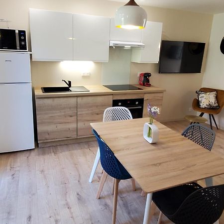 Joli Appart 2 Chambres En Centre Ville - Parking Et Jardin Albi Eksteriør billede